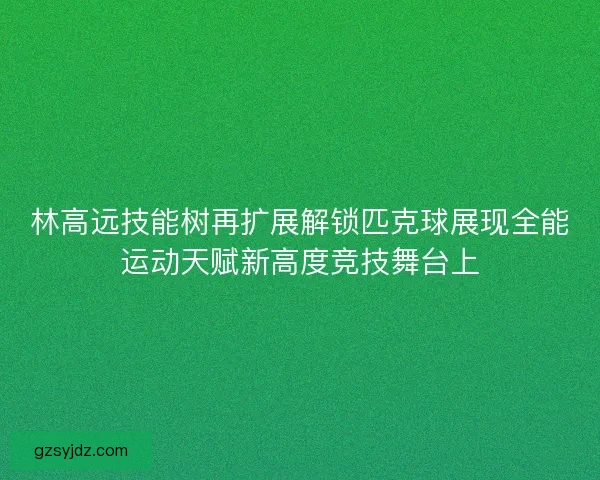 林高远技能树再扩展解锁匹克球展现全能运动天赋新高度竞技舞台上