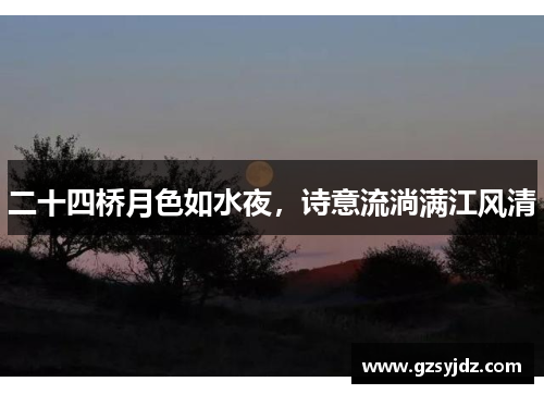 二十四桥月色如水夜，诗意流淌满江风清