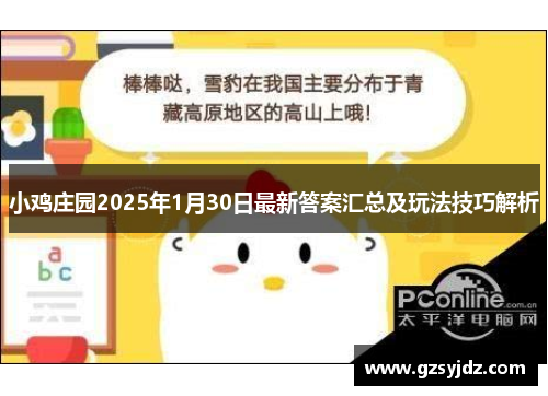 小鸡庄园2025年1月30日最新答案汇总及玩法技巧解析